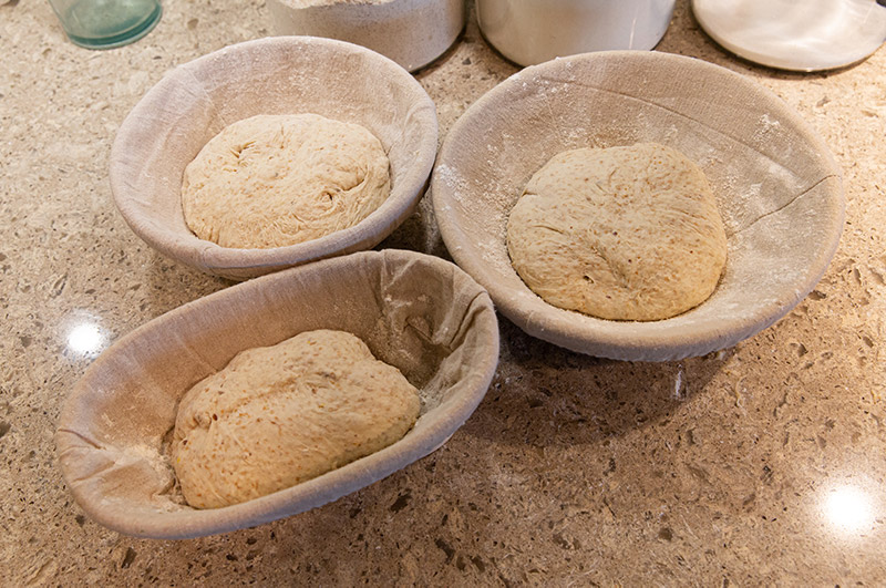 Shape Loaves